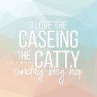 iLoveCaseingtheCatty