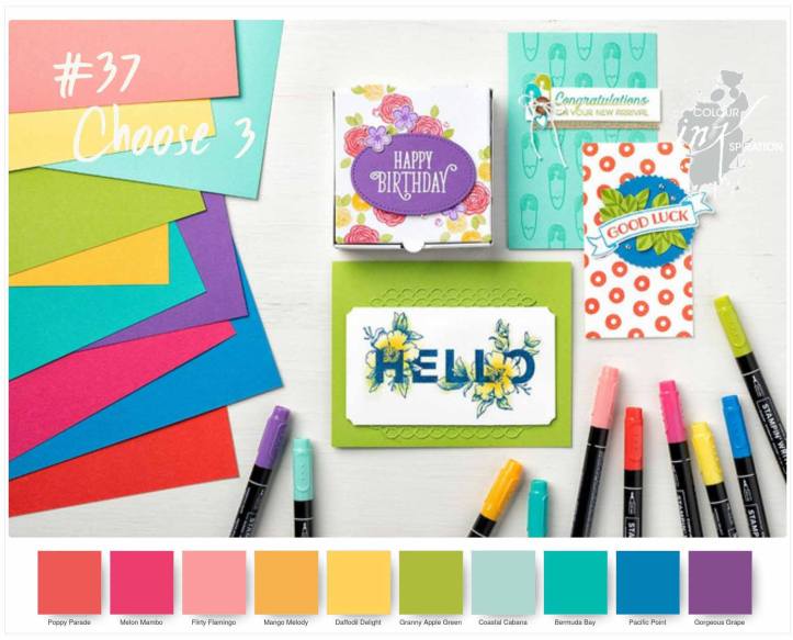 36829586_10210733704173646_8371326460350169088_o